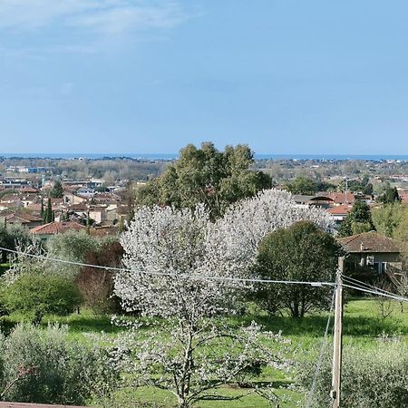 Villa Casa Bianca Pietrasanta Esterno foto