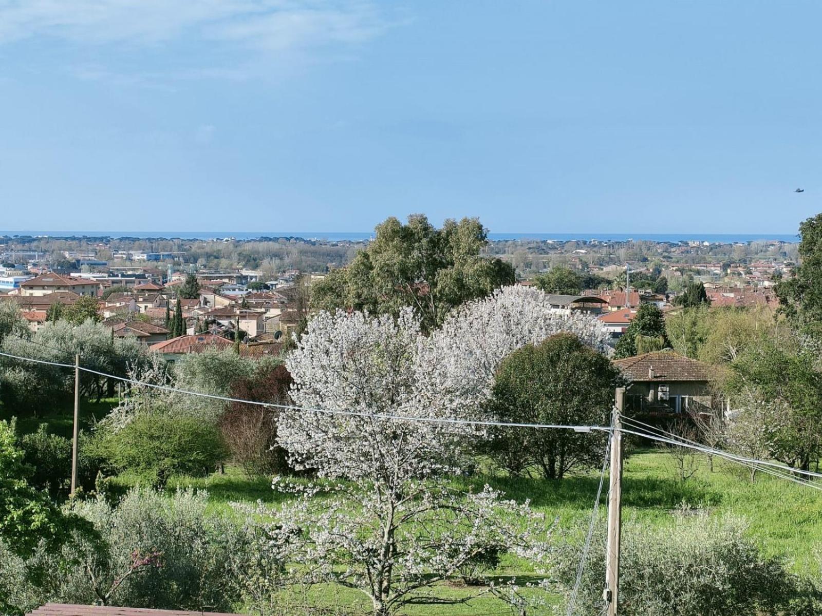 Villa Casa Bianca Pietrasanta Esterno foto